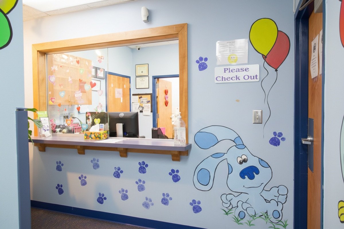 Greensboro checkout window with Blue's Clues decor