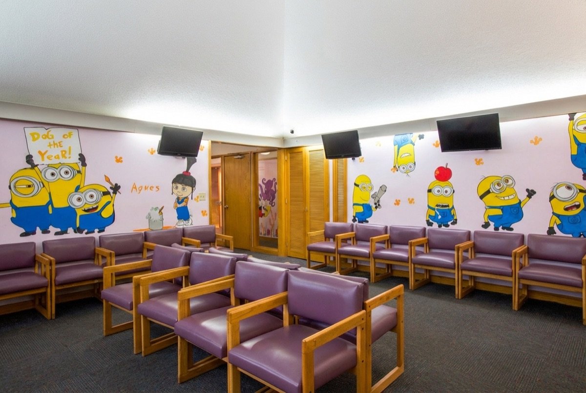 Monroe waiting room with Minion murals