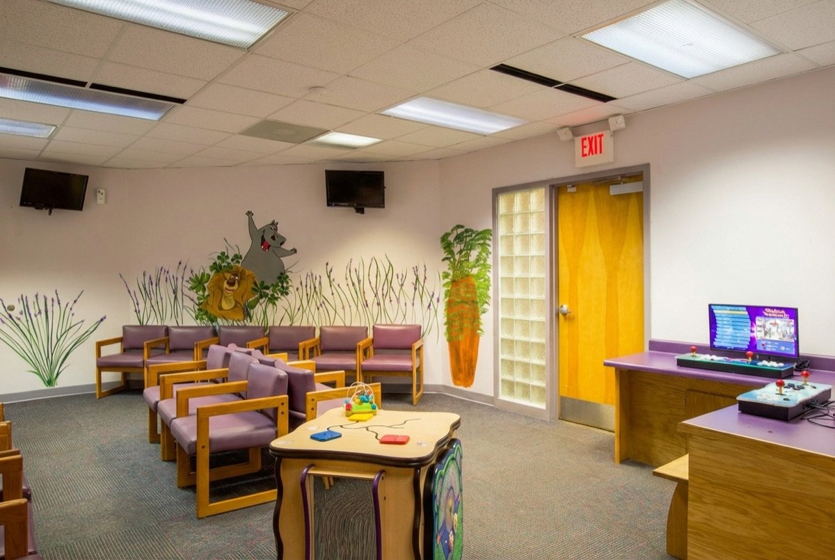 Raleigh waiting room with jungle murals